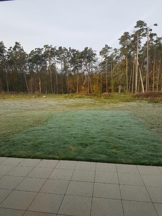 Sonnenstrahl Im Kuestenwald Gelbensande ภายนอก รูปภาพ